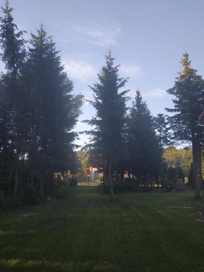 Nostalgia Noclegi Olsztyn  Luaran gambar
